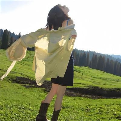 圣方济传